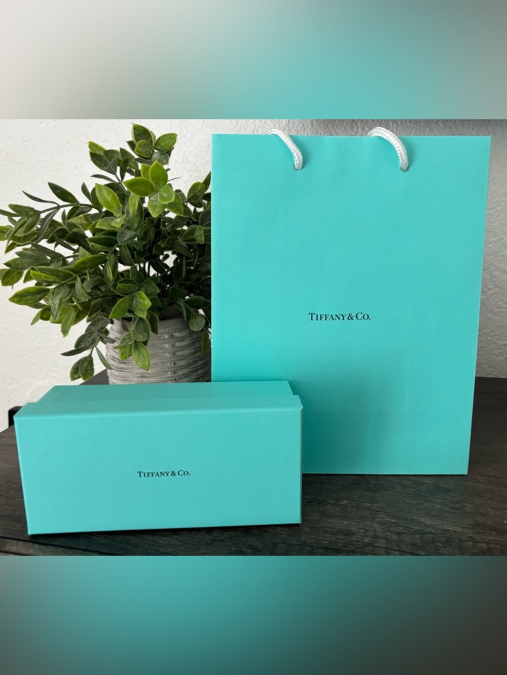 Tiffany & Co. Signature Blue Gift Box and Bag Set